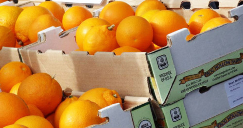 Bild für Über Orangen, Vitamin C und ein herrliches Orangen-Mandel-Kuchen Rezept