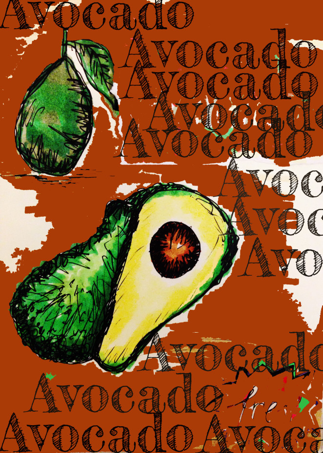 The Avocado – Our Favourite Green Berry